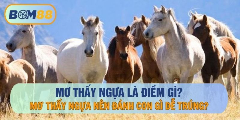 BOM88 Giải mã giấc mơ - nằm mơ thấy ngựa đánh con gì dễ trúng tại BOM88 ?