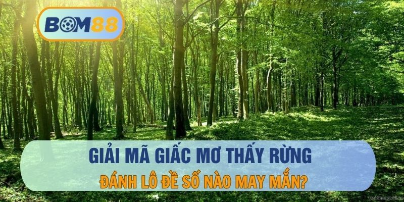 BOM88 Giải mã giấc mơ thấy rừng - Truy tìm các con số may mắn tại BOM88