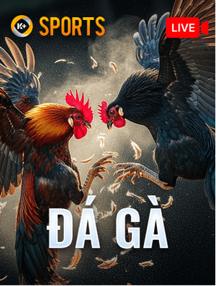 BOM88 Đá Gà K-Sports